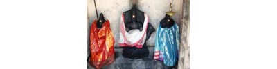திருவாமூர்